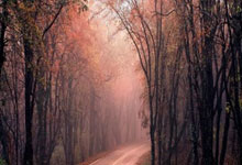 只能欺负欺负弱队？勇士外线投手面对强队基本上就没打好过？.